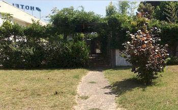 Ribeirotel Albergaria-a-Velha Εξωτερικό φωτογραφία